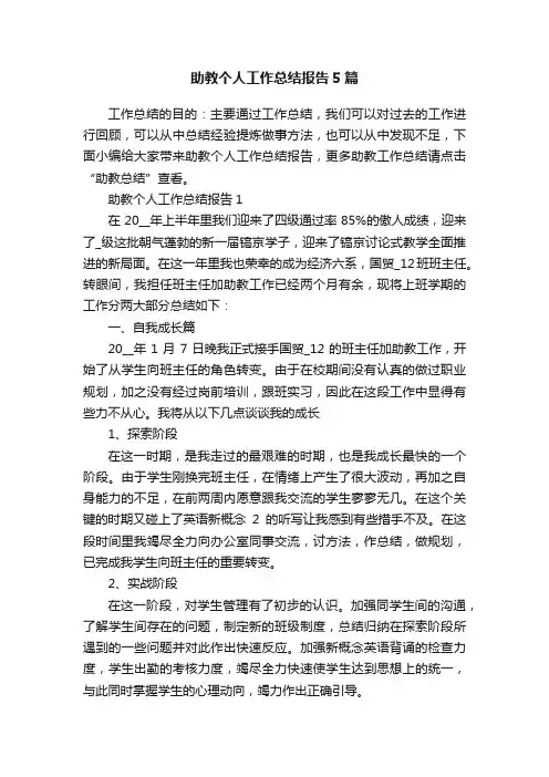 助教个人工作总结报告5篇