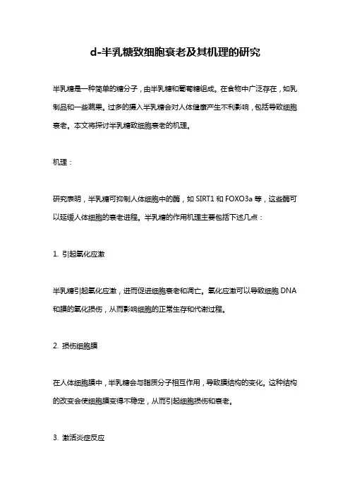 d-半乳糖致细胞衰老及其机理的研究