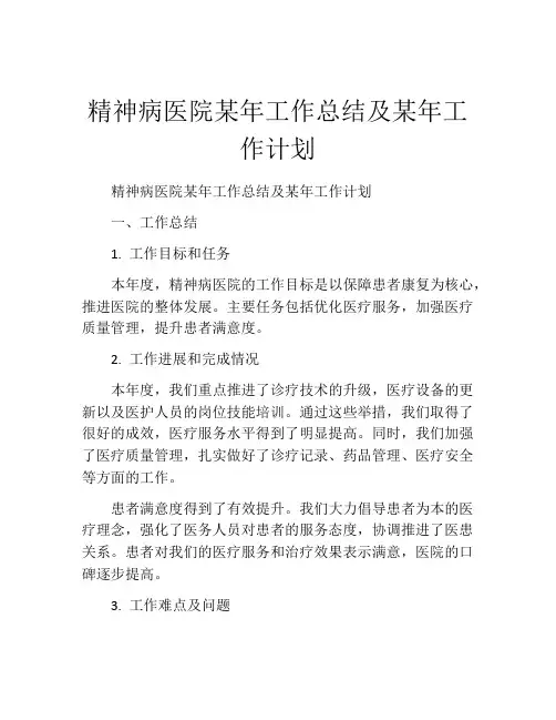 精神病医院某年工作总结及某年工作计划