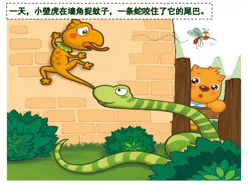 儿童故事小壁虎借尾巴PPT幻灯片