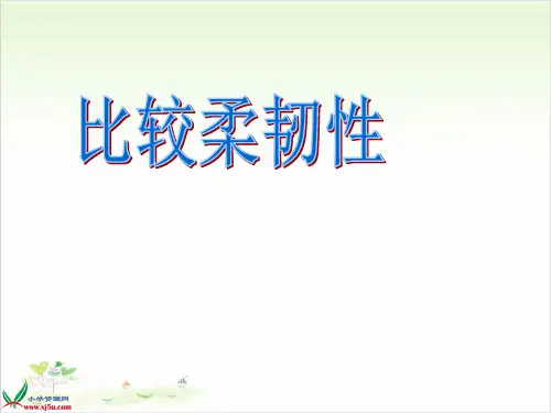 三年级上册科学-比较韧性优秀课件教科版