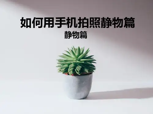 如何用手机拍照静物篇 ppt课件