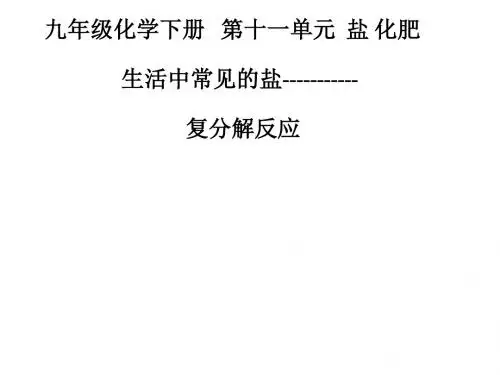 人教九年级化学下册第十一单元课题1 生活中常见的盐 第2课时 复分解反应(共24张PPT)