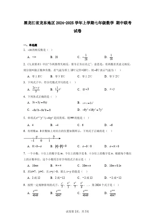 黑龙江省龙东地区2024-2025学年上学期七年级数学期中联考试卷