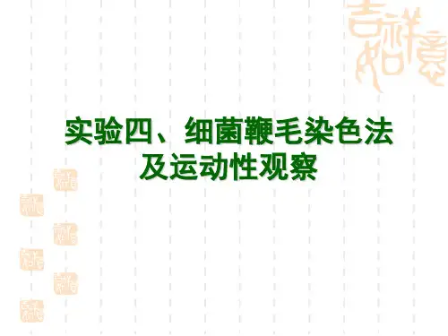 2013实验四细菌鞭毛观察法及细菌运动性观察(2) 