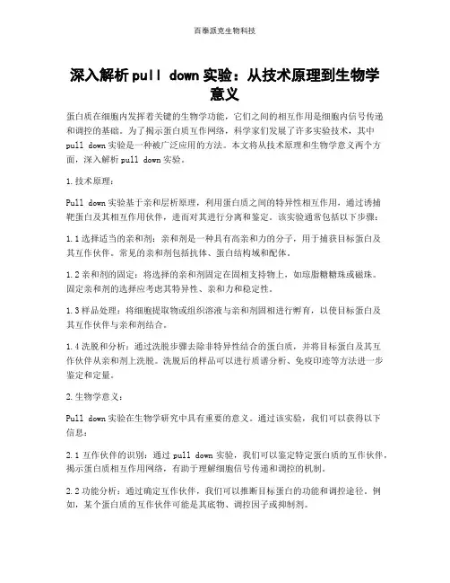 深入解析pull down实验：从技术原理到生物学意义