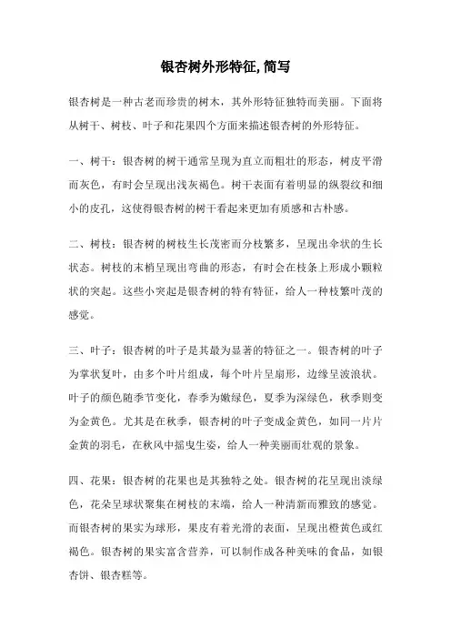 银杏树外形特征,简写
