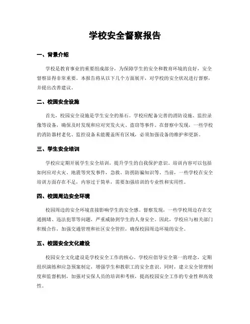 学校安全督察报告