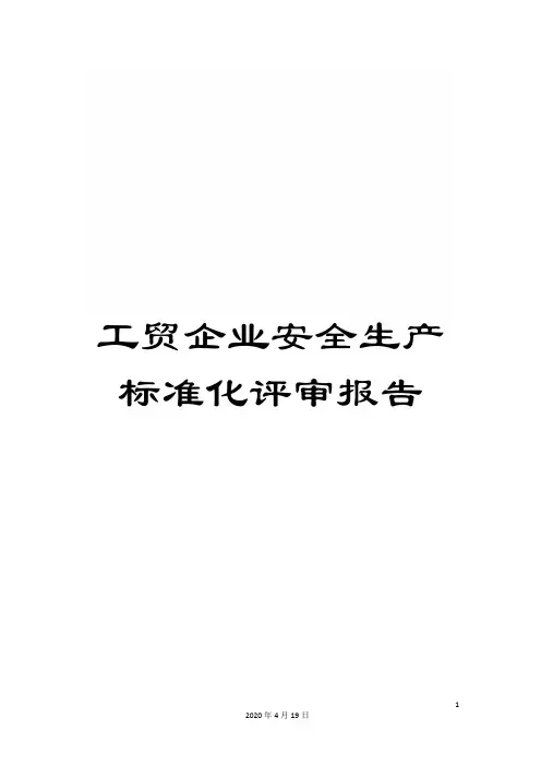 工贸企业安全生产标准化评审报告