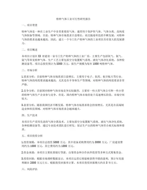 特种气体工业可行性研究报告