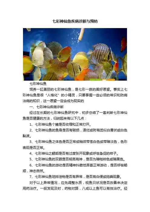 七彩神仙鱼疾病诊断与预防