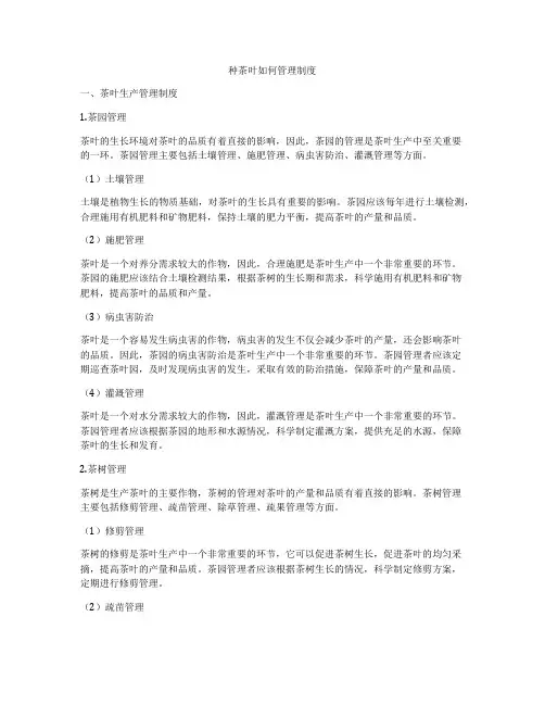 种茶叶如何管理制度
