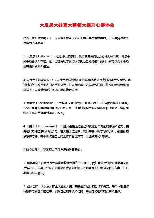 大反思大排查大整顿大提升心得体会