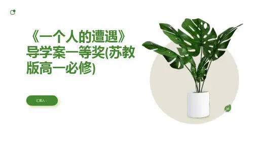 《一个人的遭遇》导学案一等奖(苏教版高一必修)