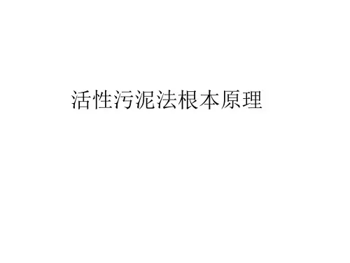 《活性污泥法基本原》ppt课件