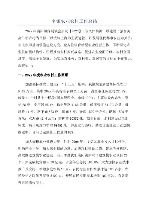 乡镇农业农村工作总结