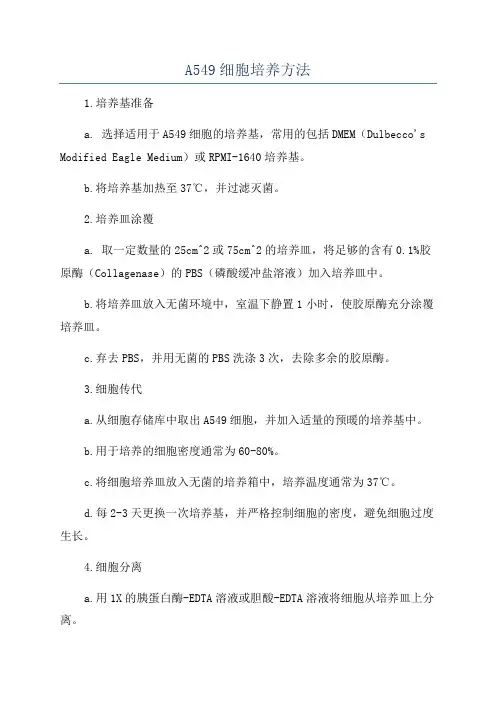 A549细胞培养方法