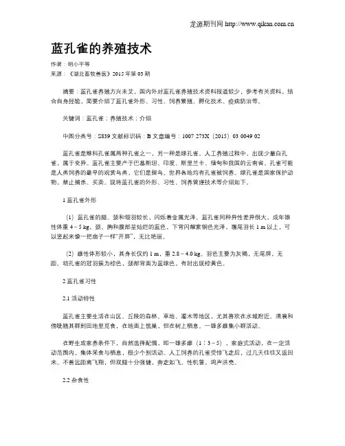 蓝孔雀的养殖技术