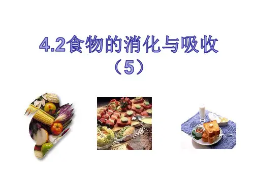 食物的消化和吸收(第5课时—浙教版九年级科学上册课件(20张PPT )
