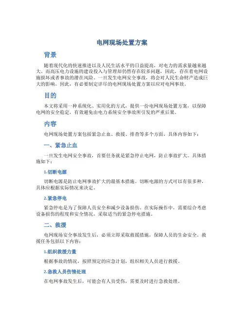 电网现场处置方案