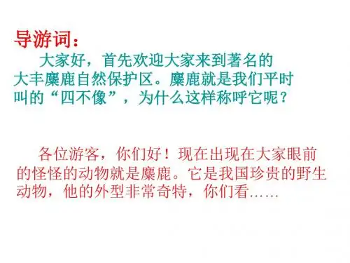 苏教版六年级语文上册17麋鹿导游词