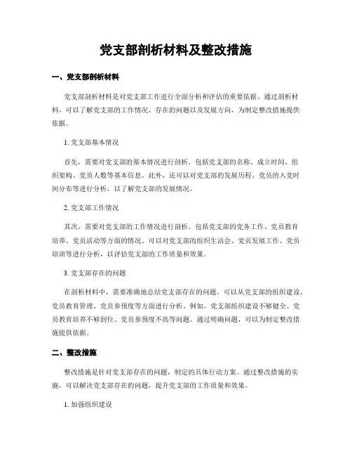 党支部剖析材料及整改措施