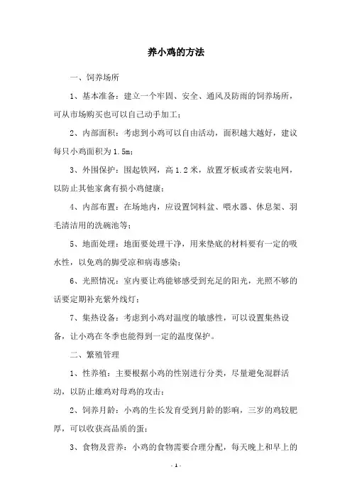 养小鸡的方法