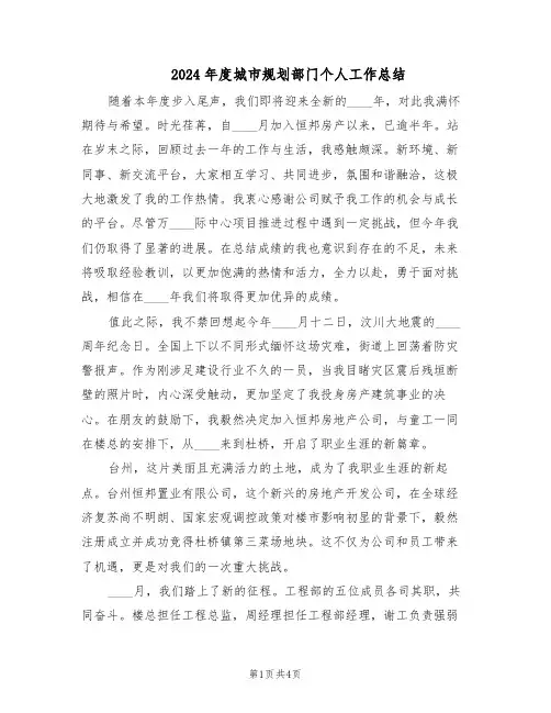 2024年度城市规划部门个人工作总结（二篇）