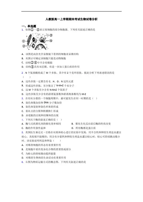 人教版高一上学期期末考试生物试卷分析
