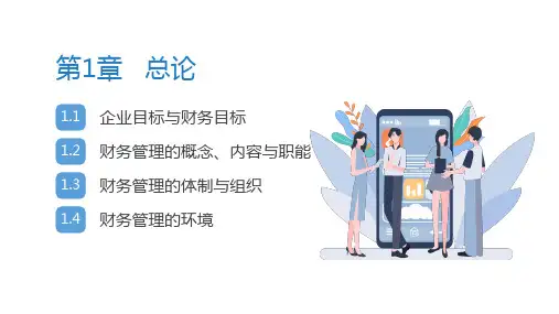 《财务管理学：中国视角》第1章 ——总论