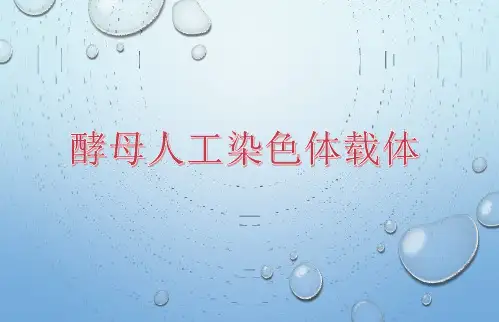酵母人工染色体载体