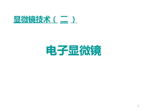 扫描电镜、透射显微镜PPT课件