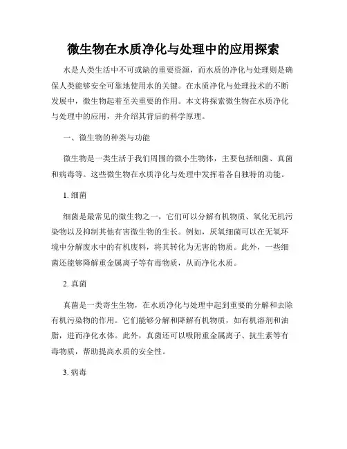 微生物在水质净化与处理中的应用探索