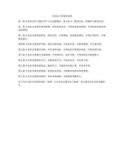 少先队日常规章制度