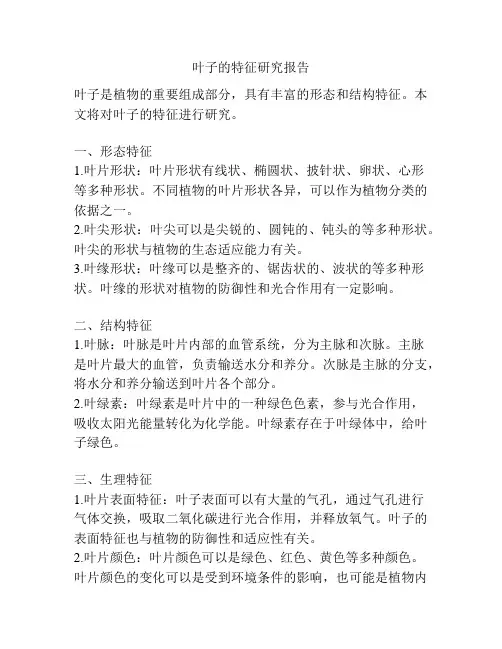 叶子的特征研究报告