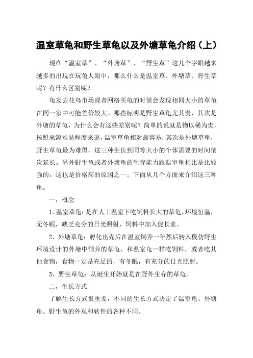 温室草龟和野生草龟以及外塘草龟介绍(上)