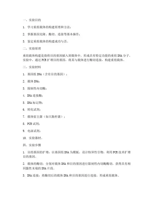重组载体构建实验报告