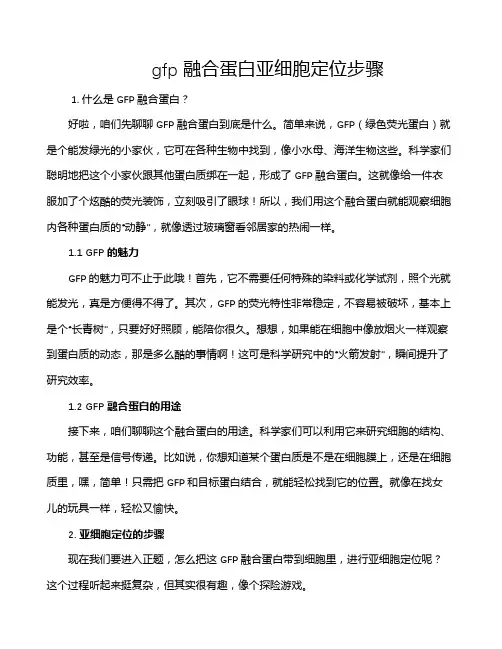 gfp融合蛋白亚细胞定位步骤