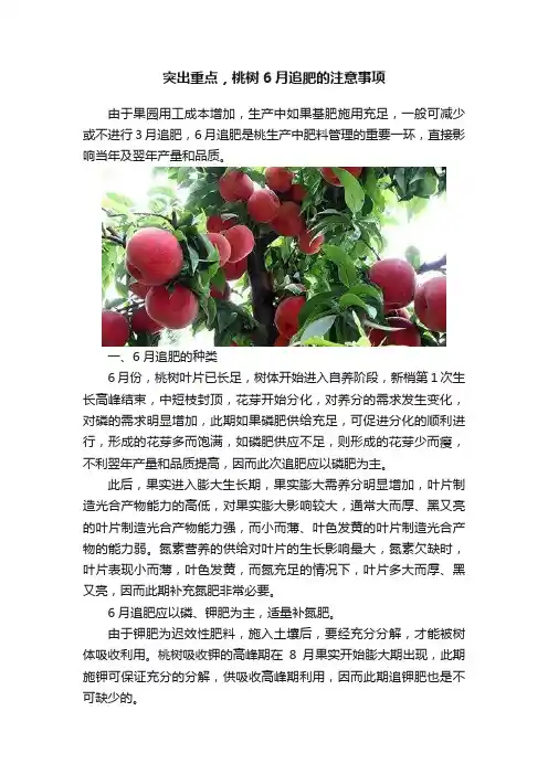 突出重点，桃树6月追肥的注意事项