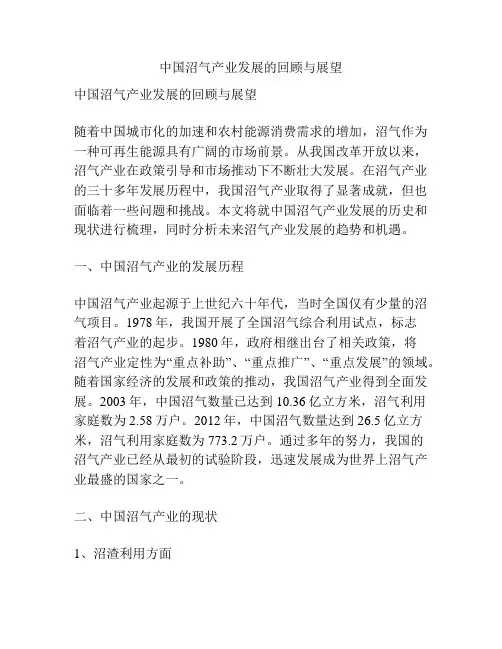 中国沼气产业发展的回顾与展望