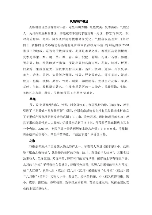 羌族 风物特产