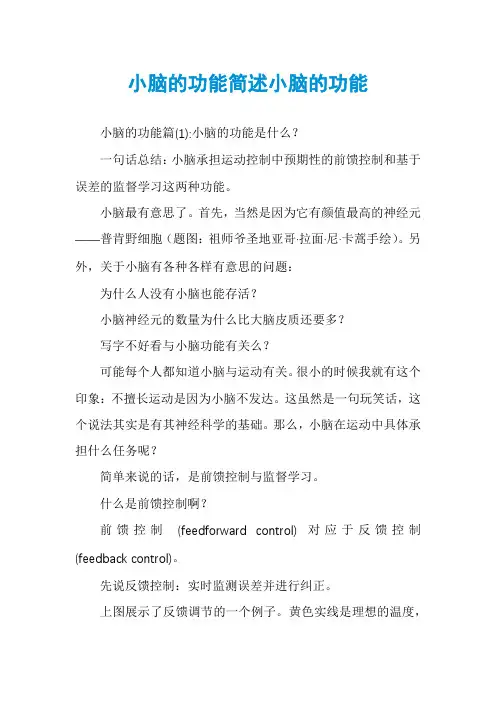 小脑的功能简述小脑的功能