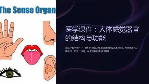 《医学课件：人体感觉器官的结构与功能》