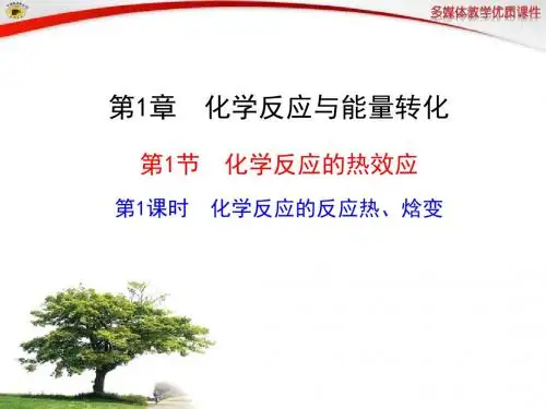 第1课时  化学反应的反应热、焓变