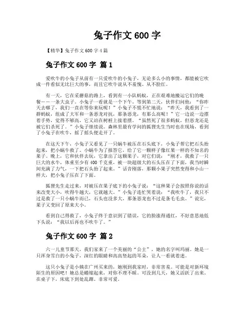 兔子作文600字