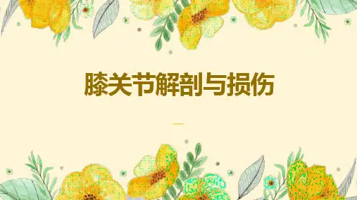 膝关节解剖与损伤MRI及CT