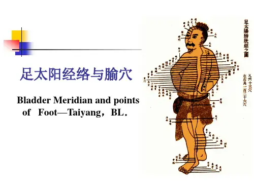 针灸学-足太阳膀胱经经络与腧穴