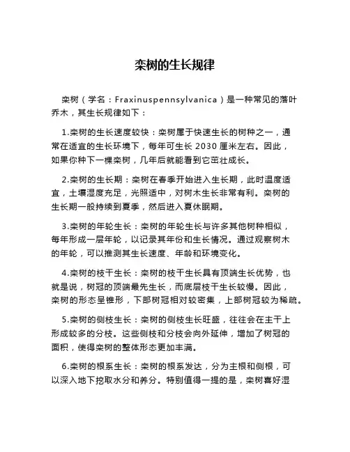 栾树的生长规律