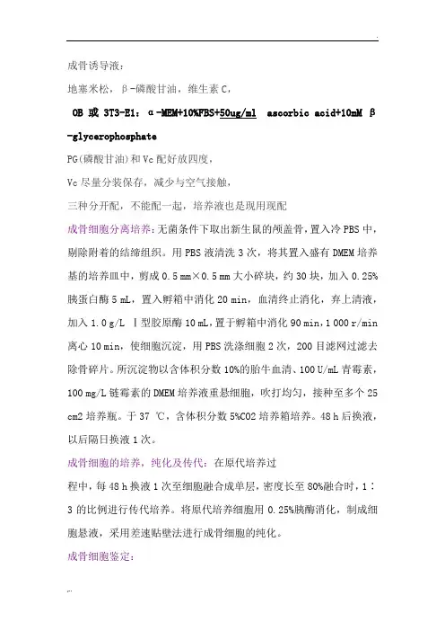 成骨细胞培养
