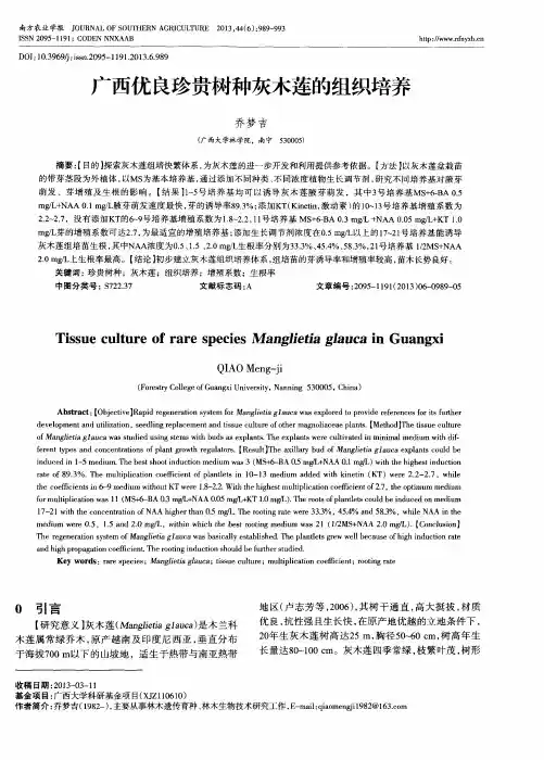 广西优良珍贵树种灰木莲的组织培养